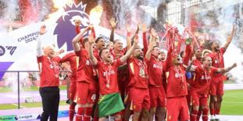 中国资本在变革中的机会与挑战- 多宝体育