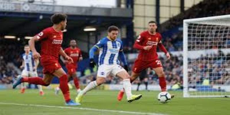 各方反应：支持与强烈反对并存-多宝体育