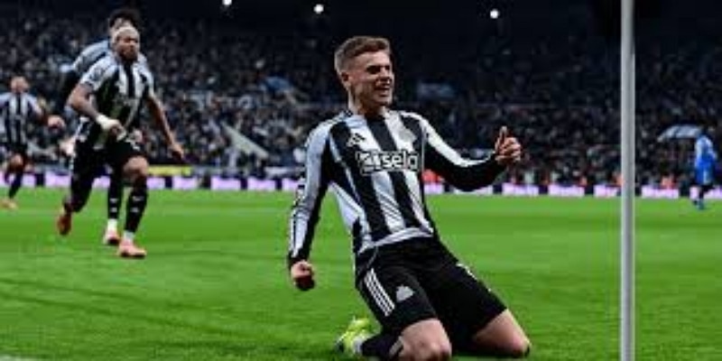 比赛综述：效率至上，喜鹊以少胜多- 多宝体育