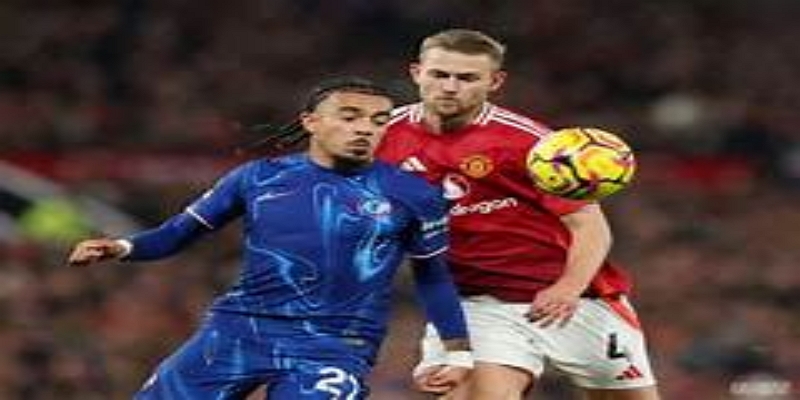 专家视角：范加尔的心理与战术大师属性-多宝体育